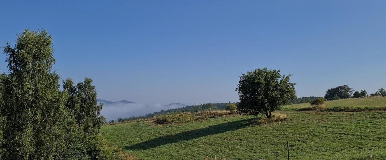 Lesna Kotlina Klodzka Villa *
